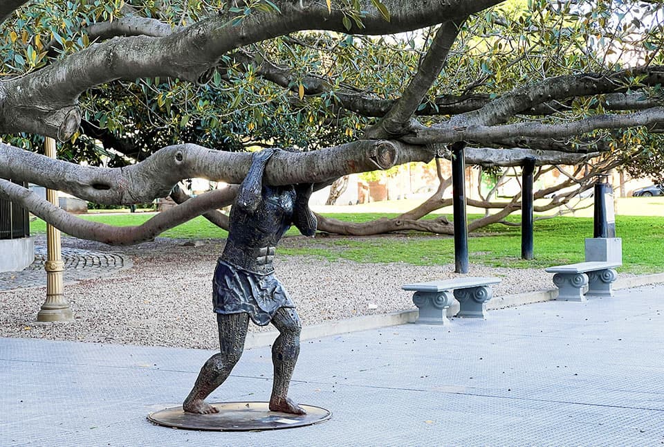 Atlas und der alte Baum