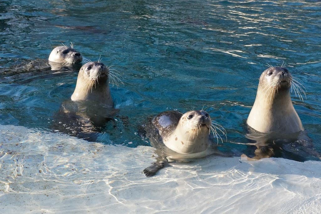 Tierpark Bochum