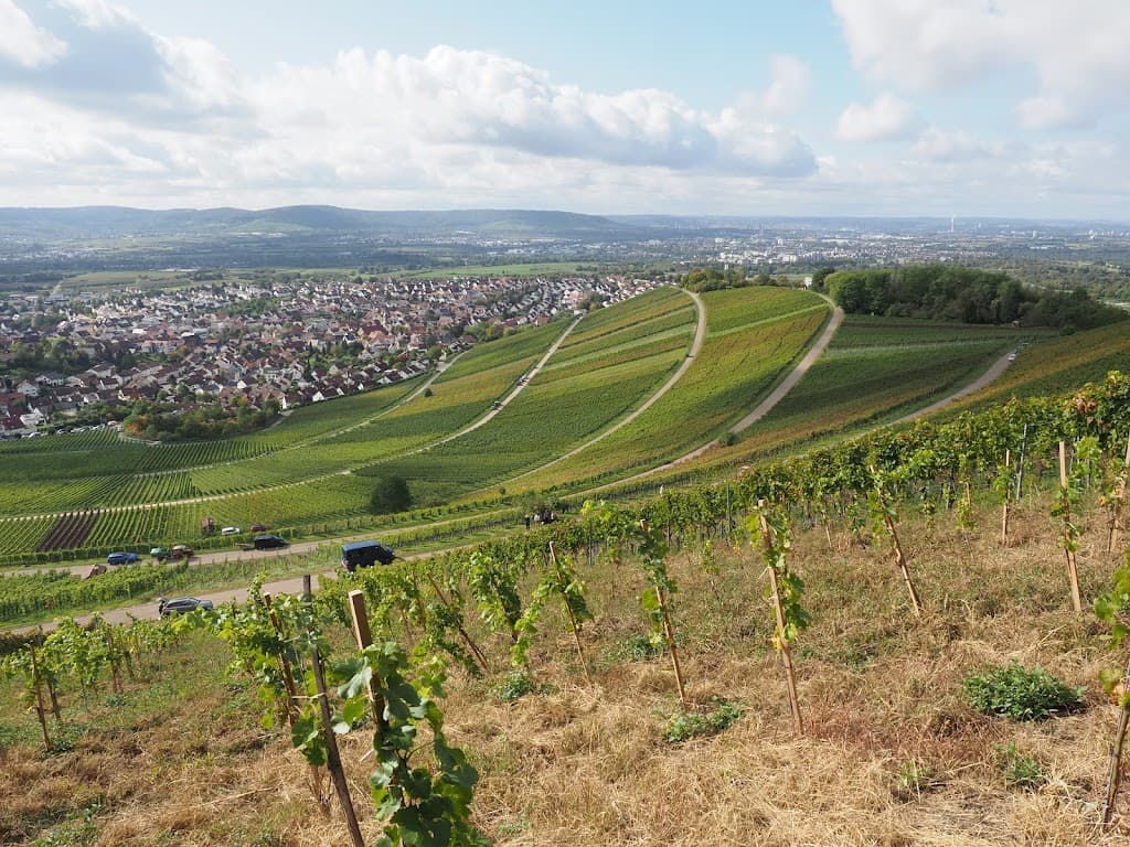 Korber Köpfe