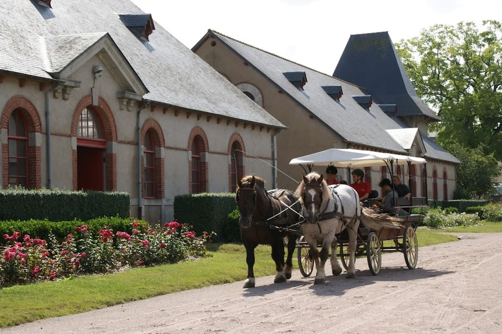 Nationalgestüt Lamballe
