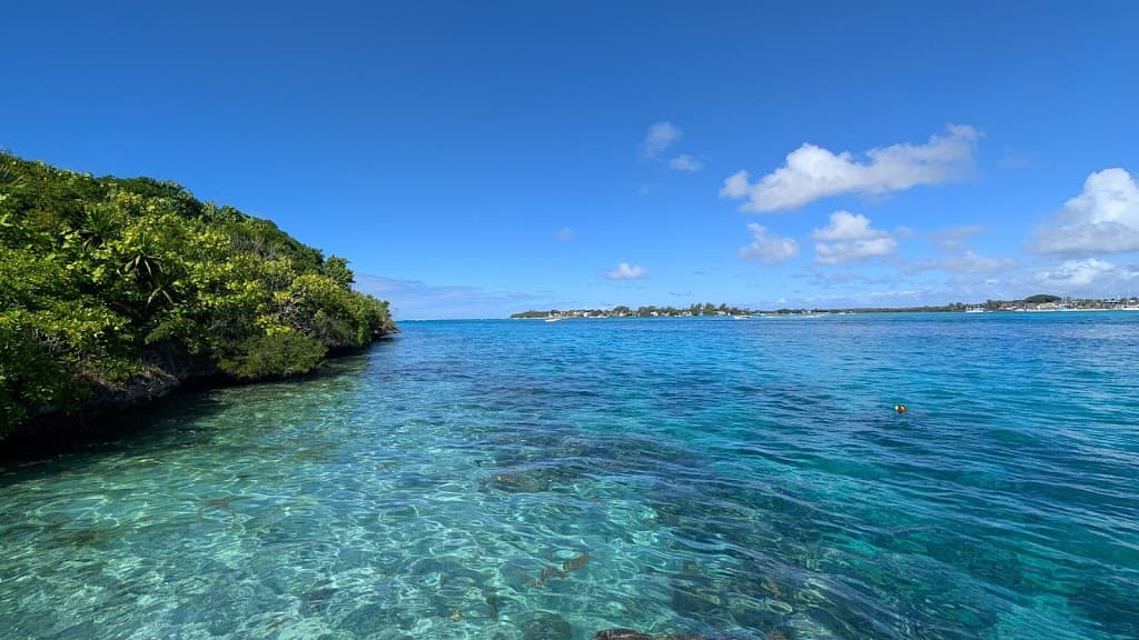 Île aux Aigrettes