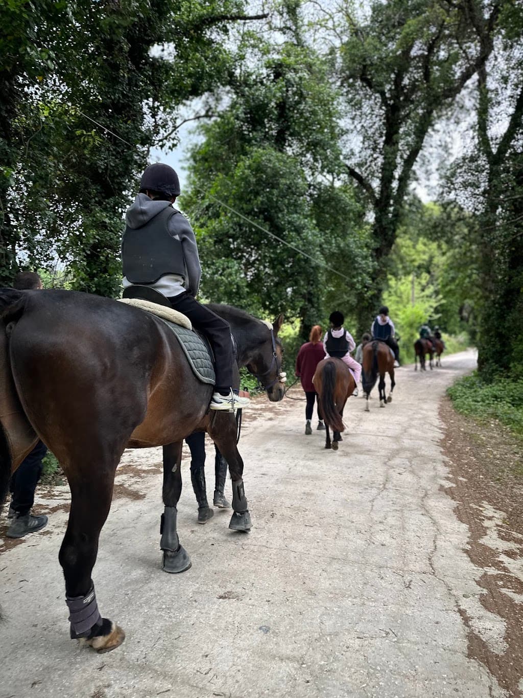 E.M Corfu Equestrian Center (ex Silvaland)