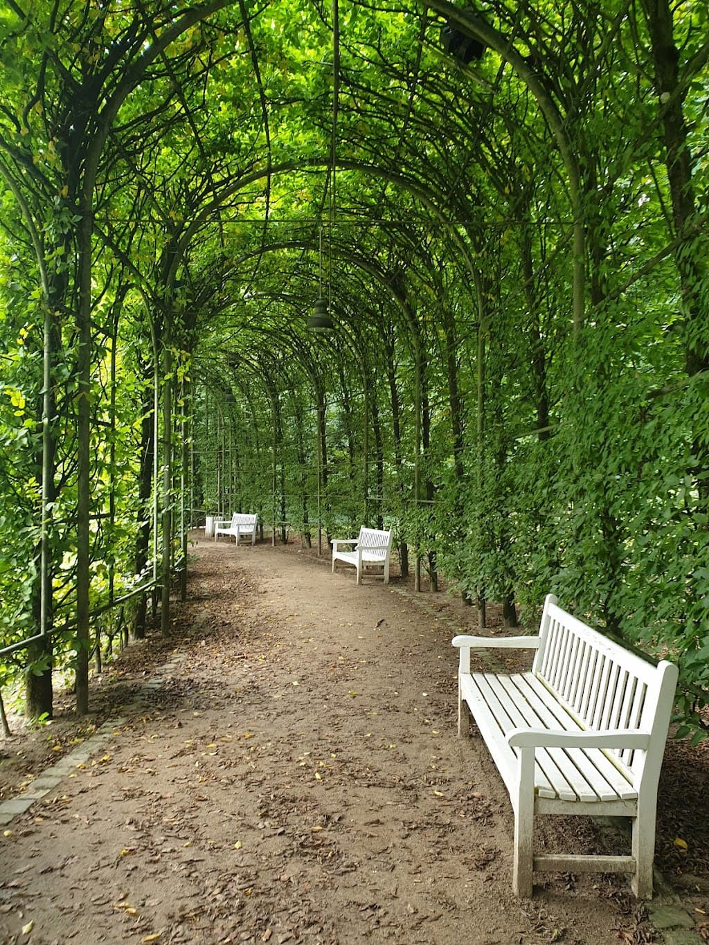 Park Kleve