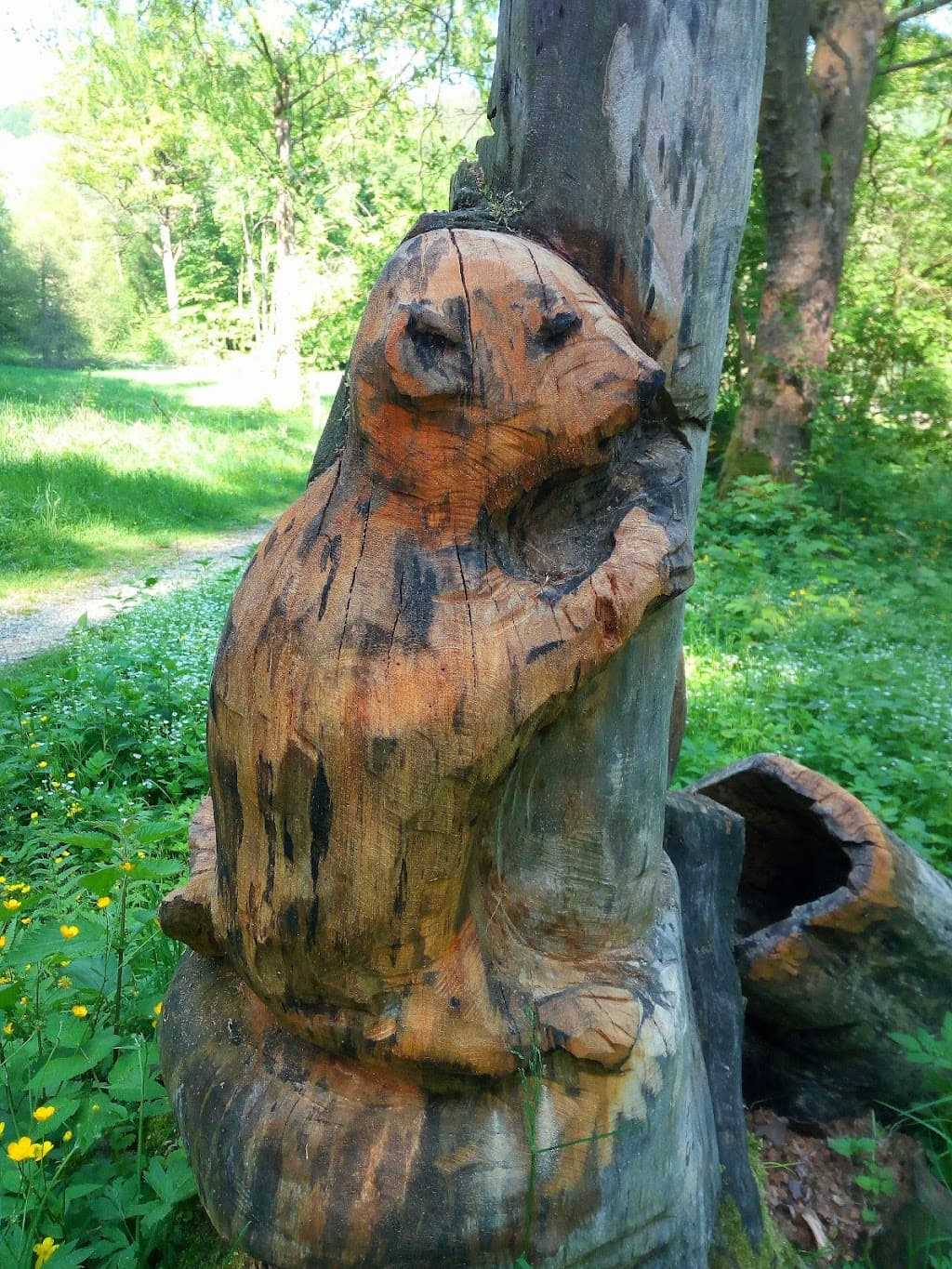 Arboretum Winneberger Park
