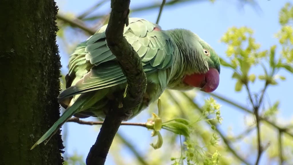 Heemtuin Sloterpark