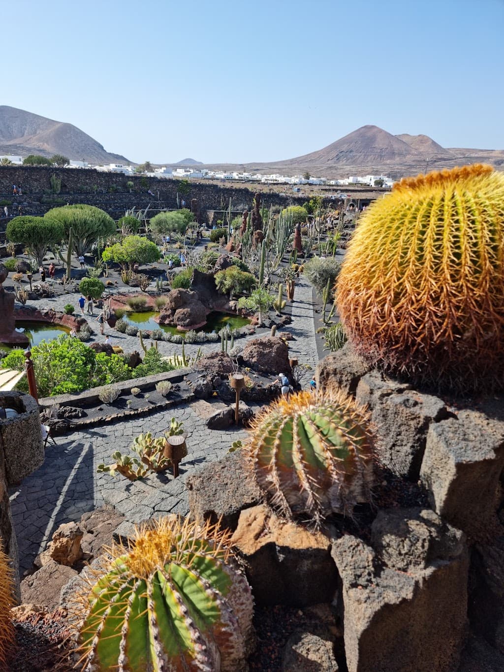 Kaktusgarten