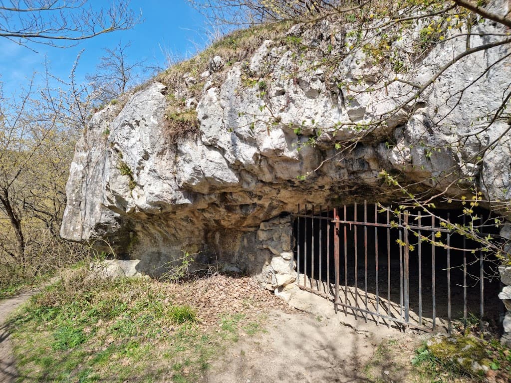 Höhlenbären Fundstelle