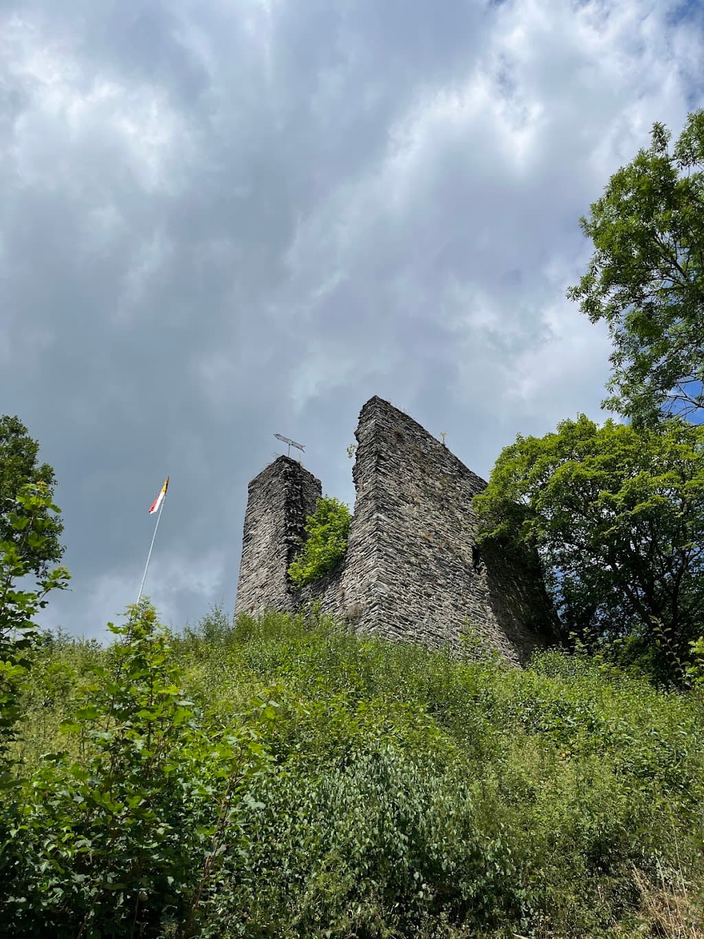 Burgruine Haller