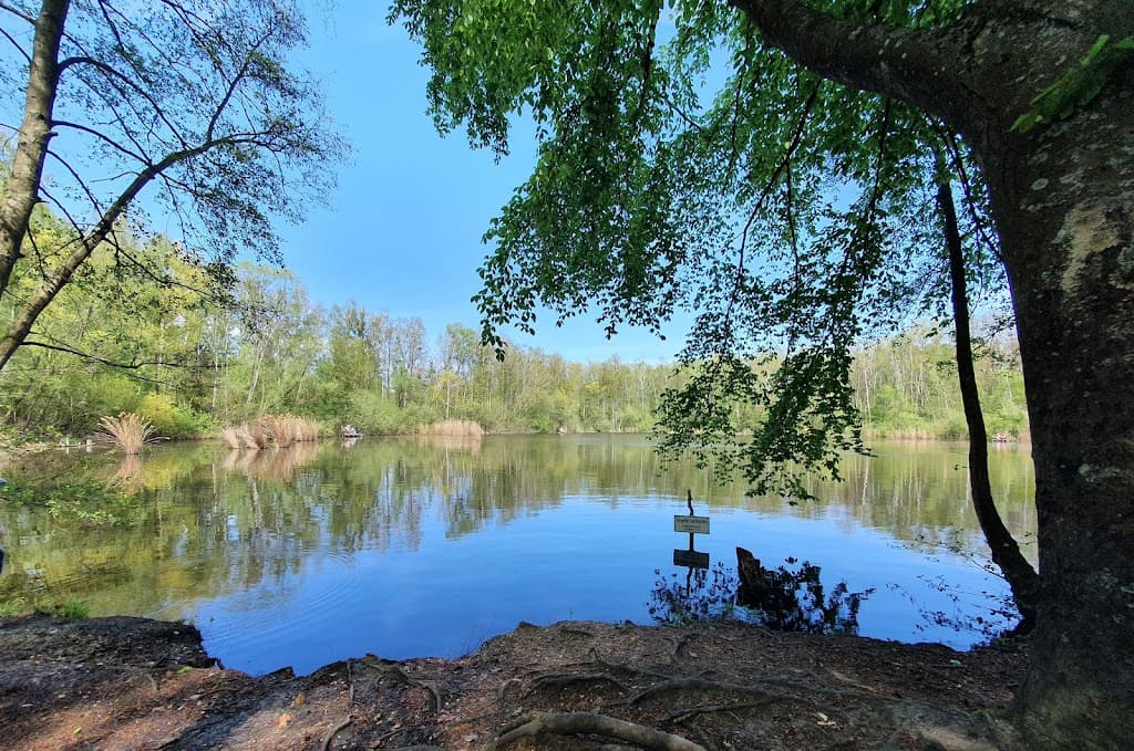 Villewälder