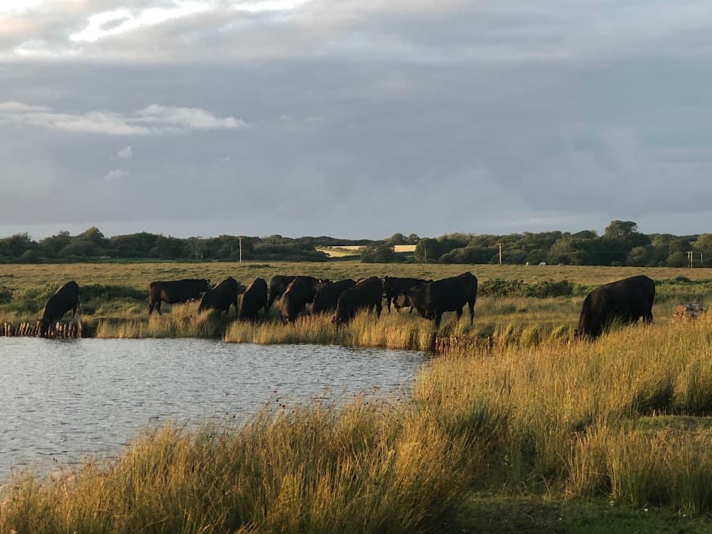 Broad Pool Naturschutzgebiet