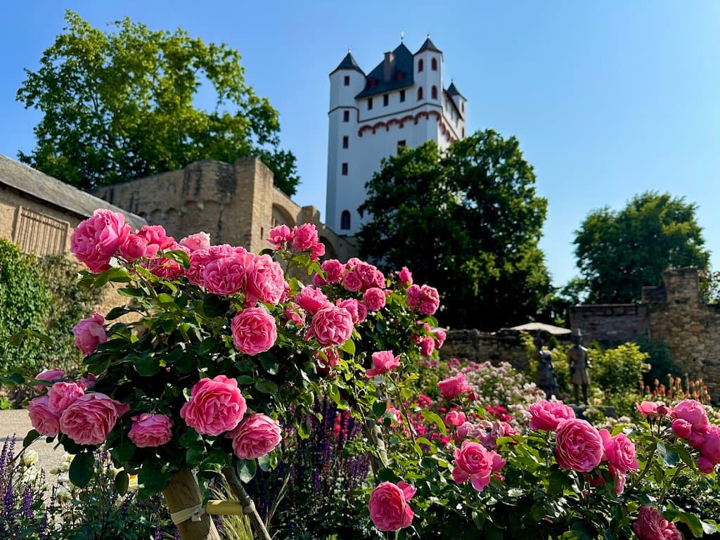 Kurfürstliche Burg Eltville