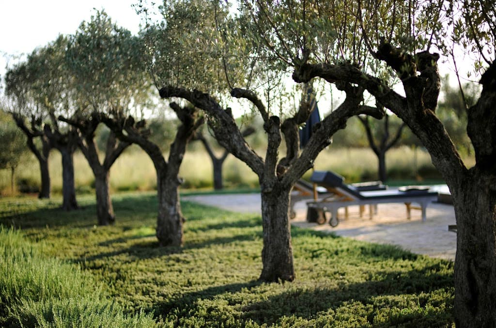 Son Muda Garten
