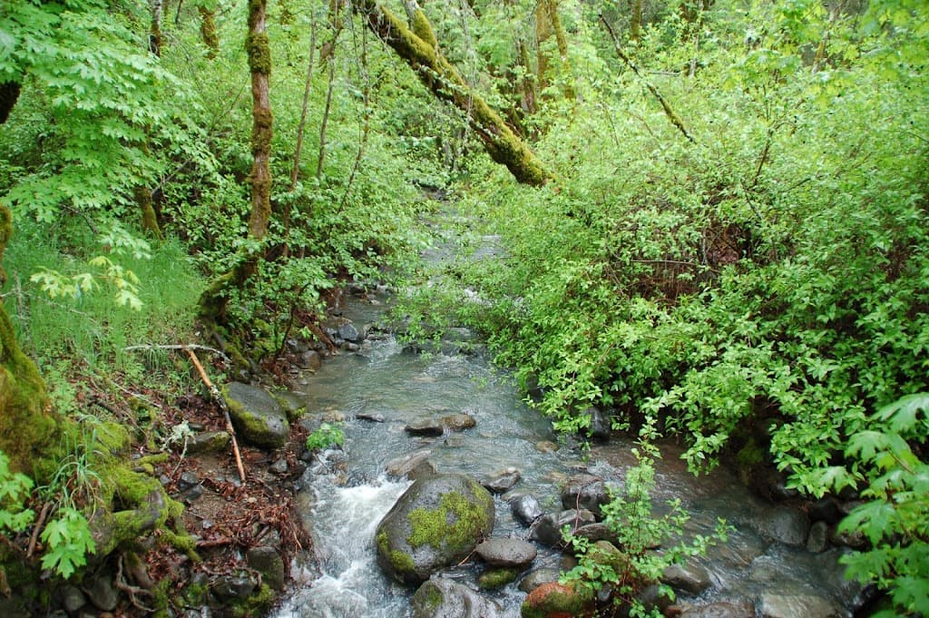 Bothe-Napa Valley State Park
