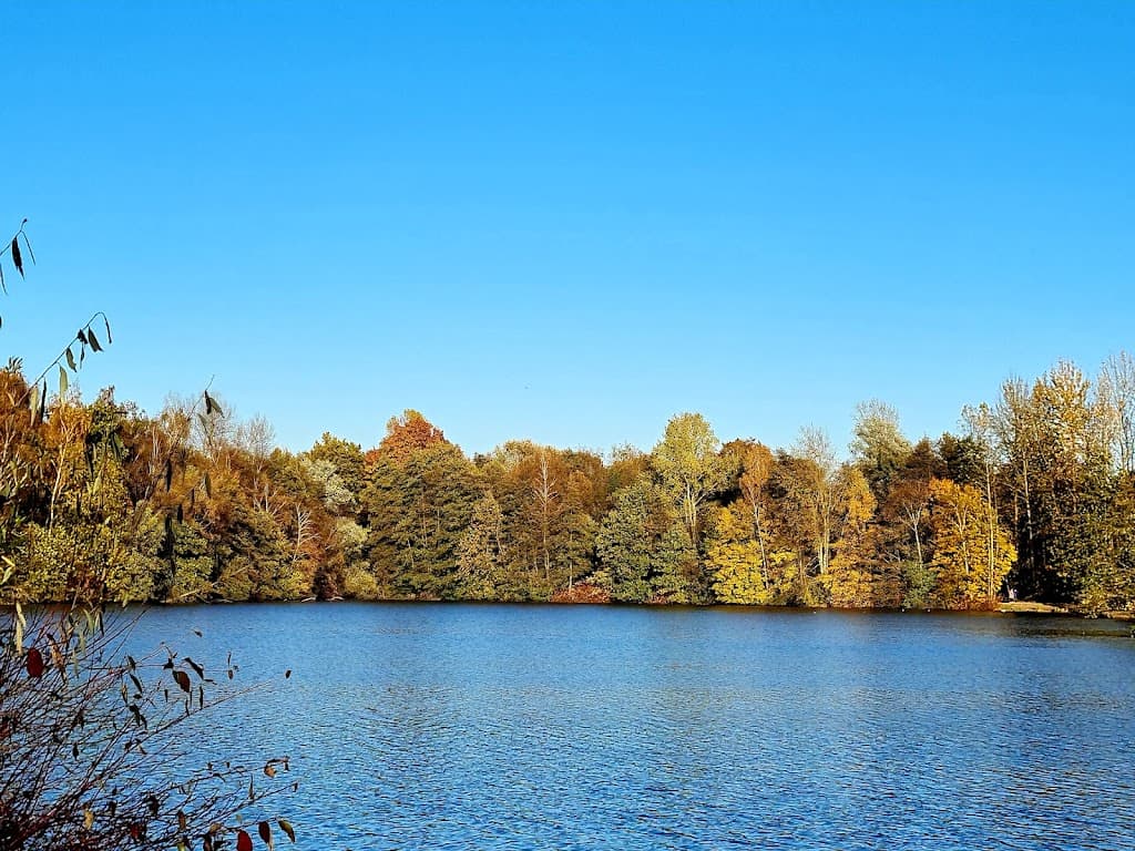 Rotbachsee