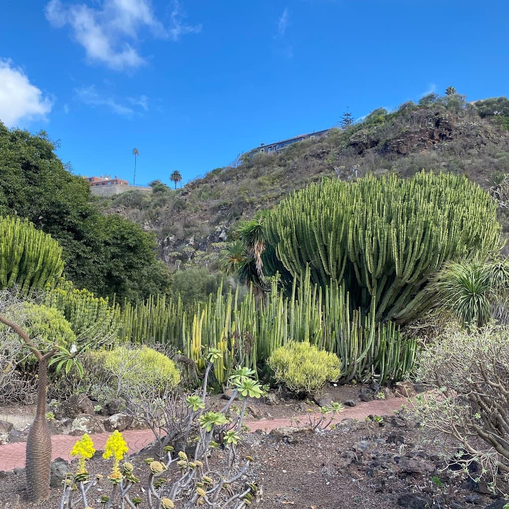 Jardín Botánico Canario Viera y Clavijo