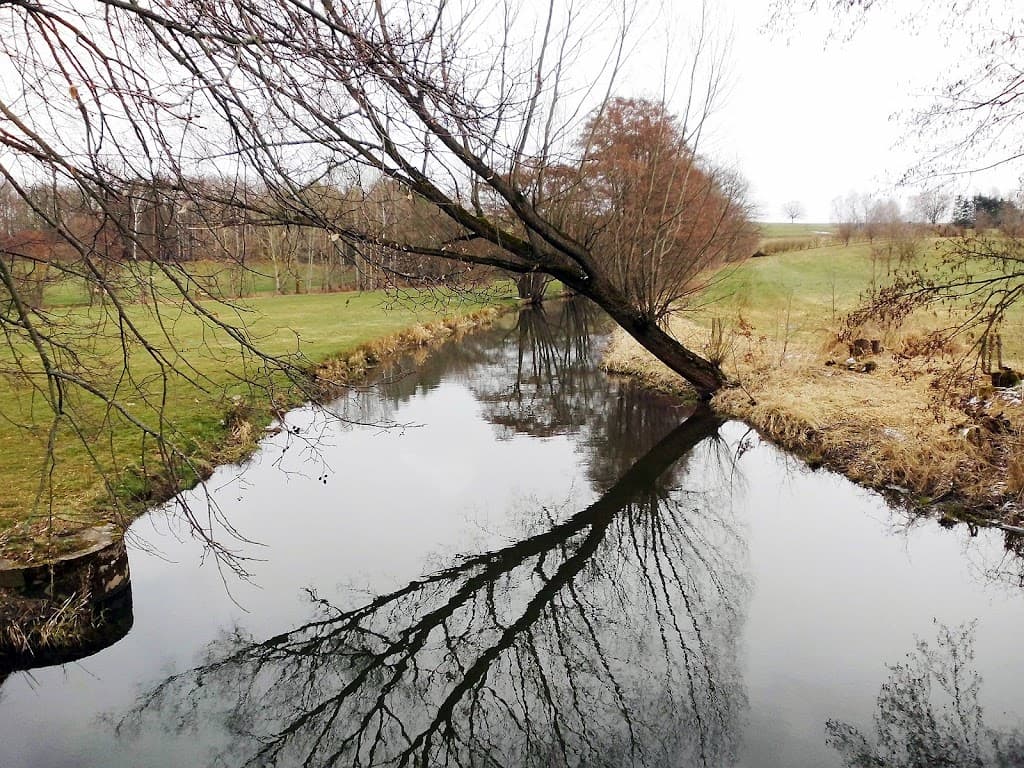 Wesenitz