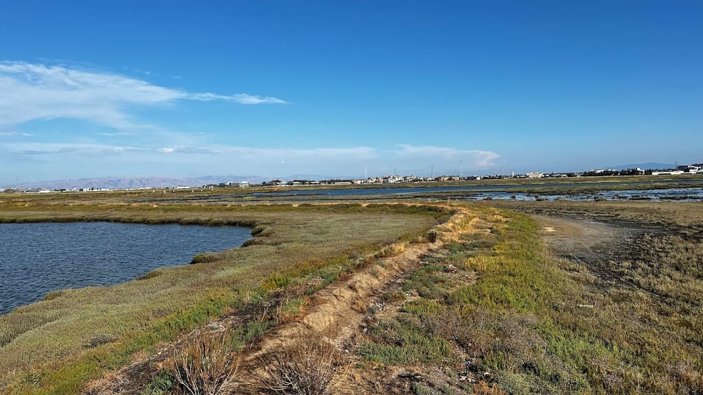 Bair Island