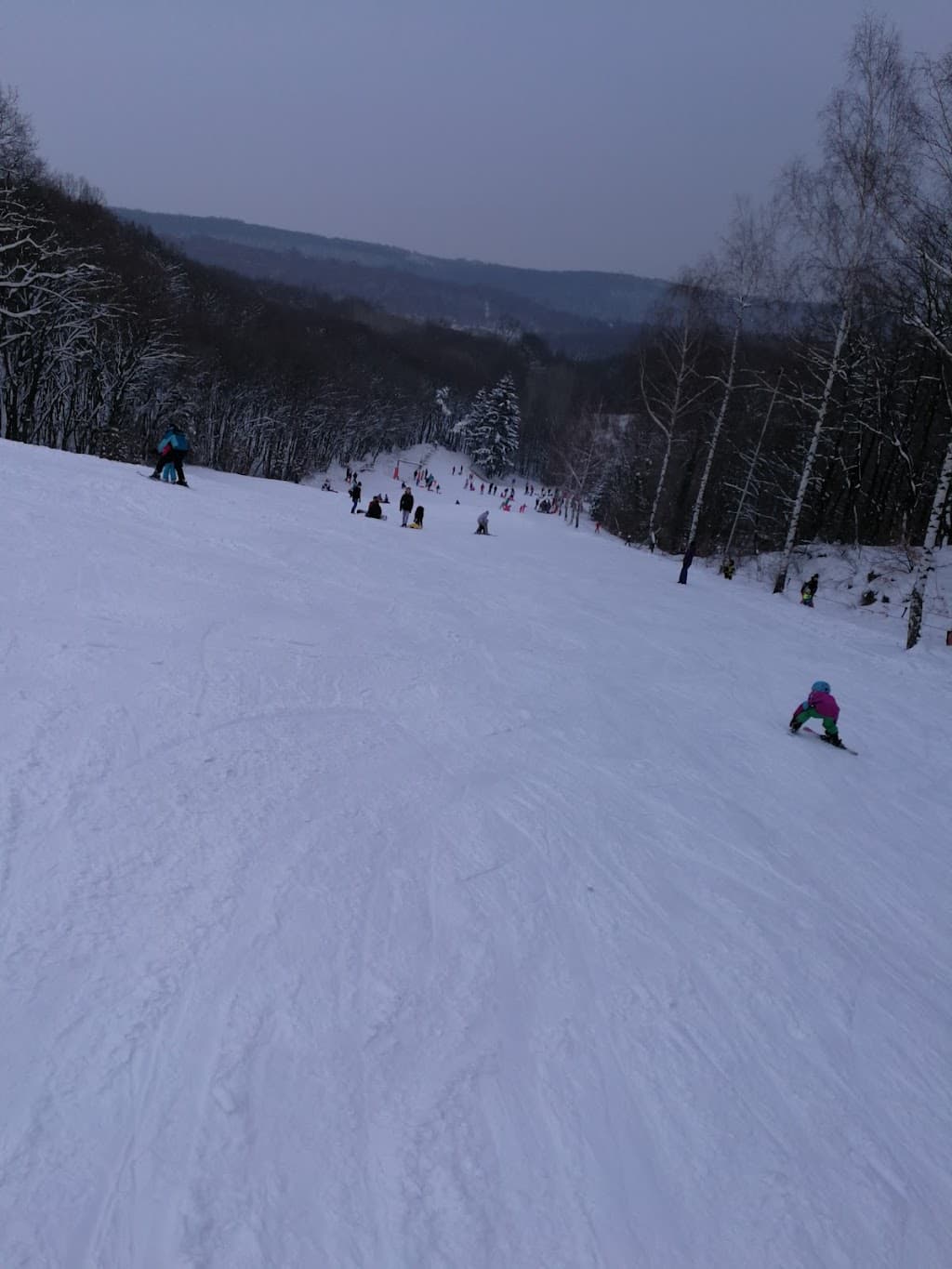 Skiwiese