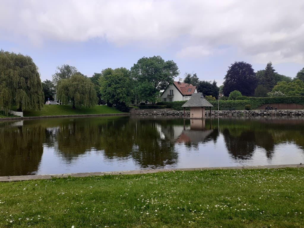 Schwanenweiher