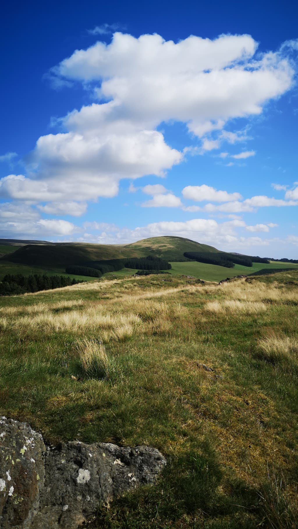 Clennell Street