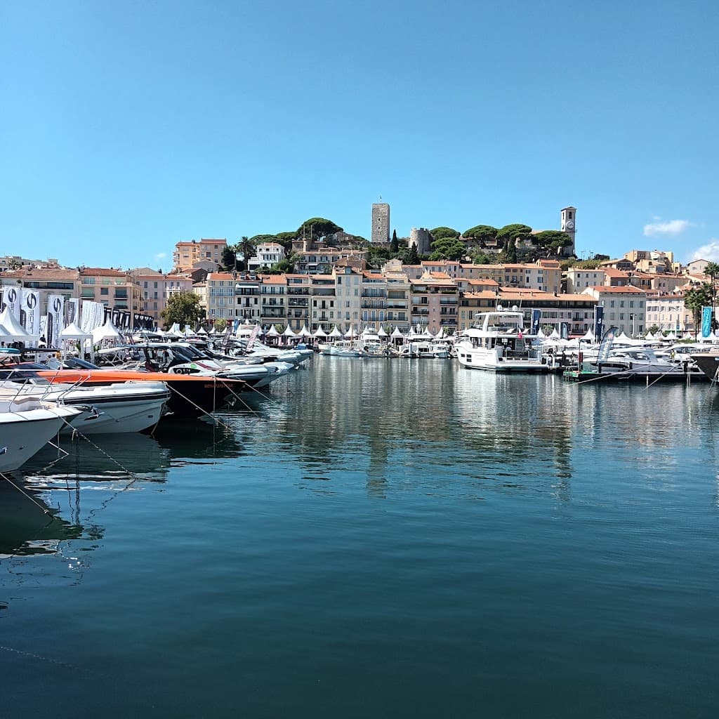 Le Vieux Port de Cannes