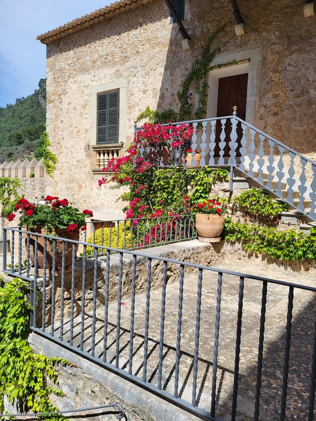 Finca Comassema