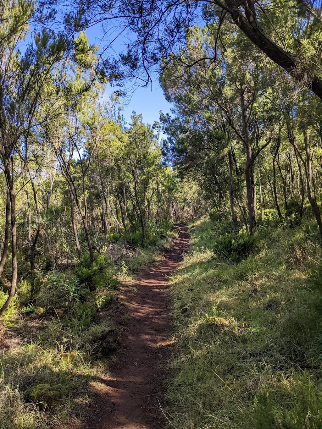 GR-131 Wanderweg