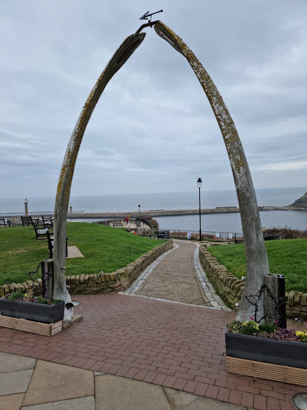 Walflügel von Whitby