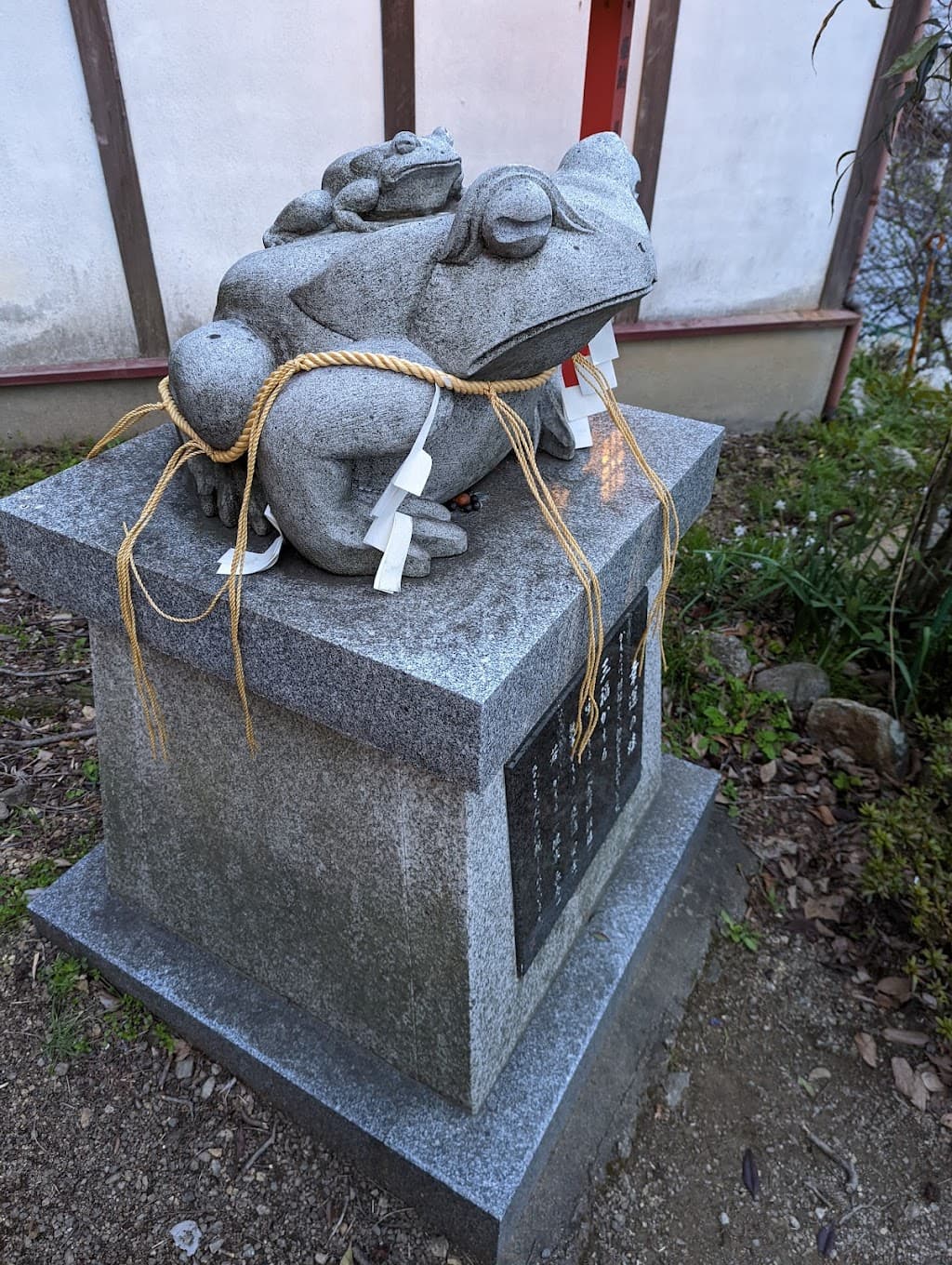 Glücksbringer-Frosch