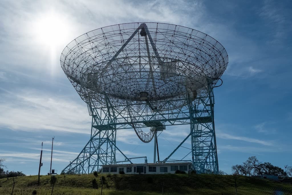 The Dish