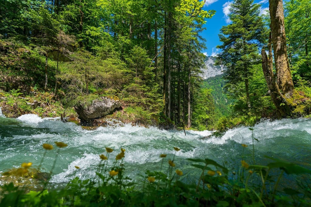 Waldbach Ursprung