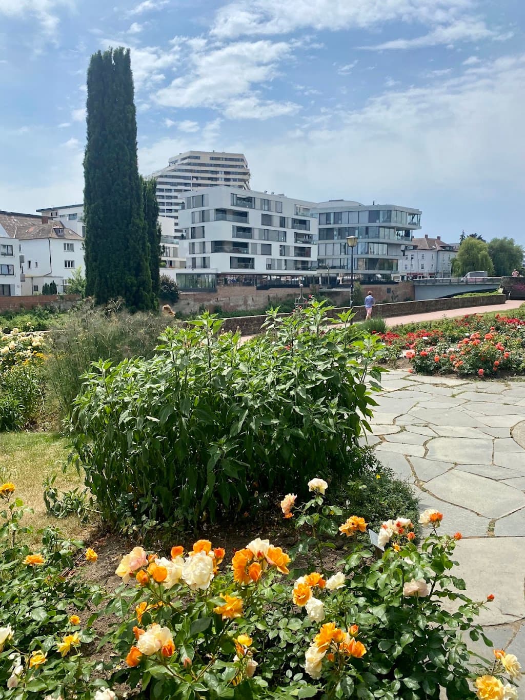 Rosengarten