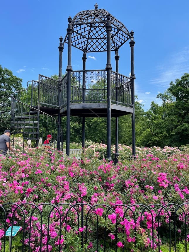 Whetstone Park of Roses