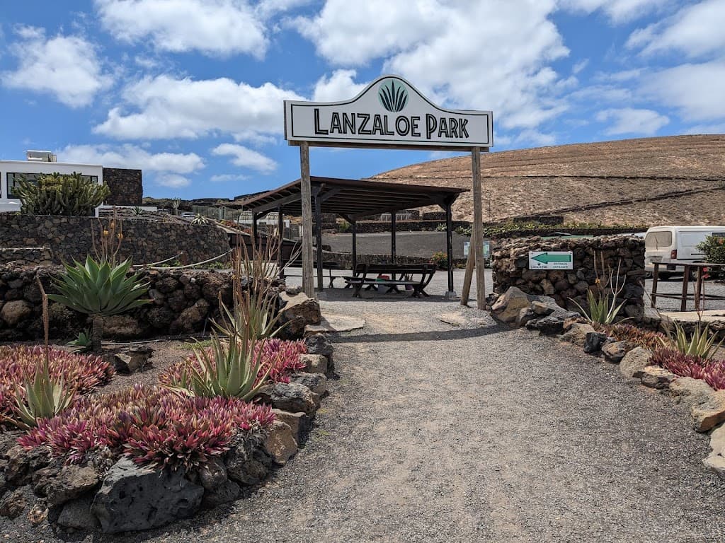 Lanzaloe
