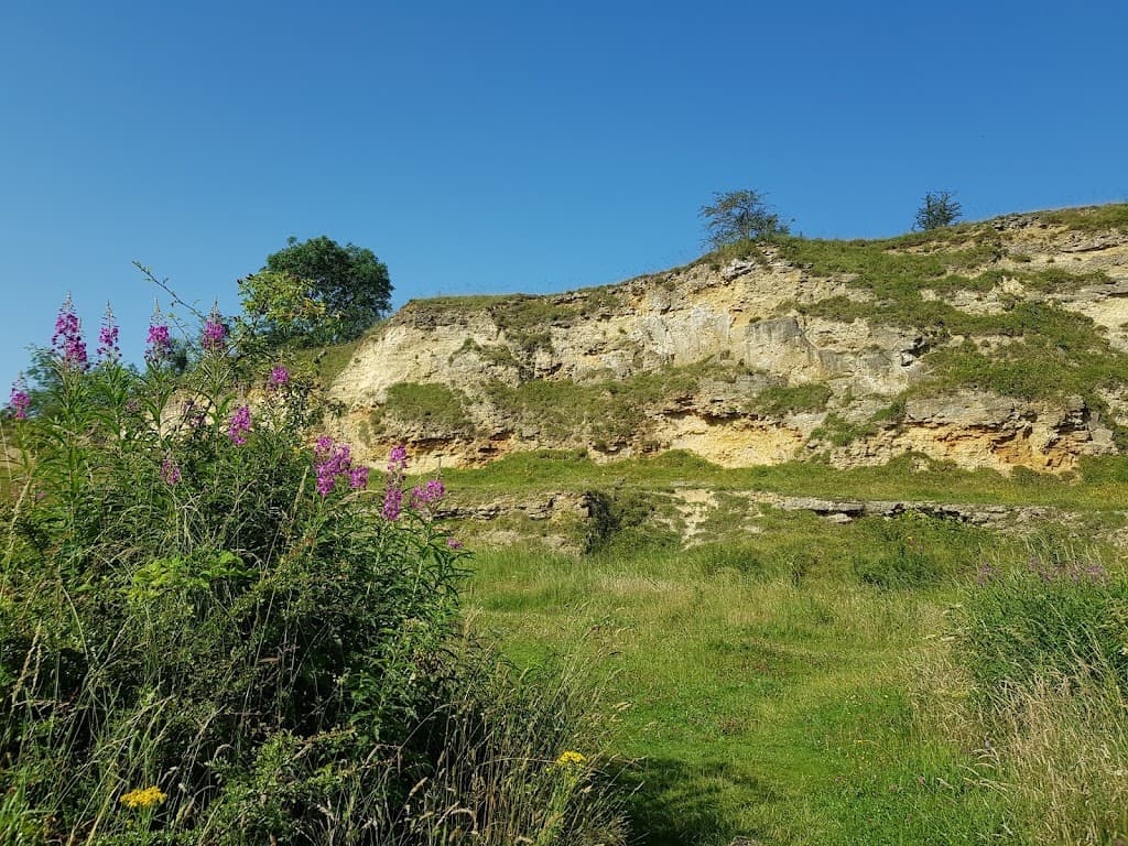 Bishop Middleham Quarry