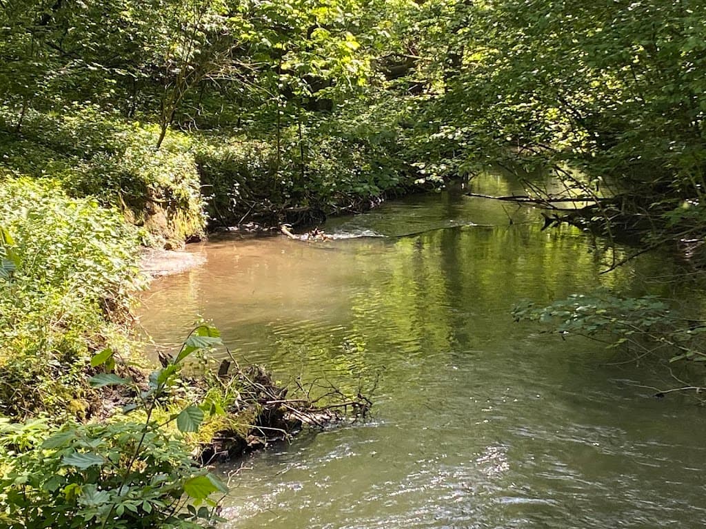 Düssel