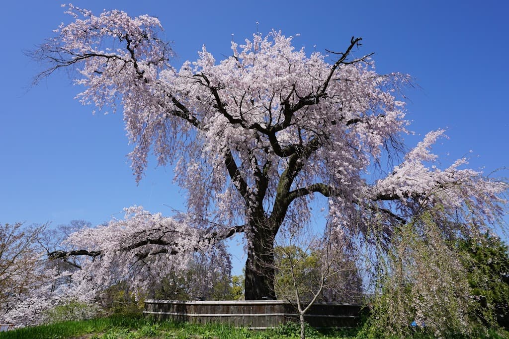 Maruyama-Park