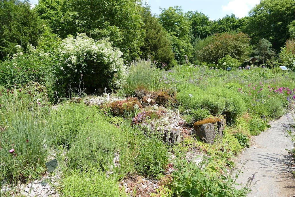 Aromagarten an der Palmsanlage