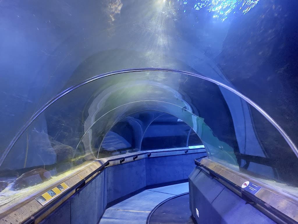 Deep Sea World