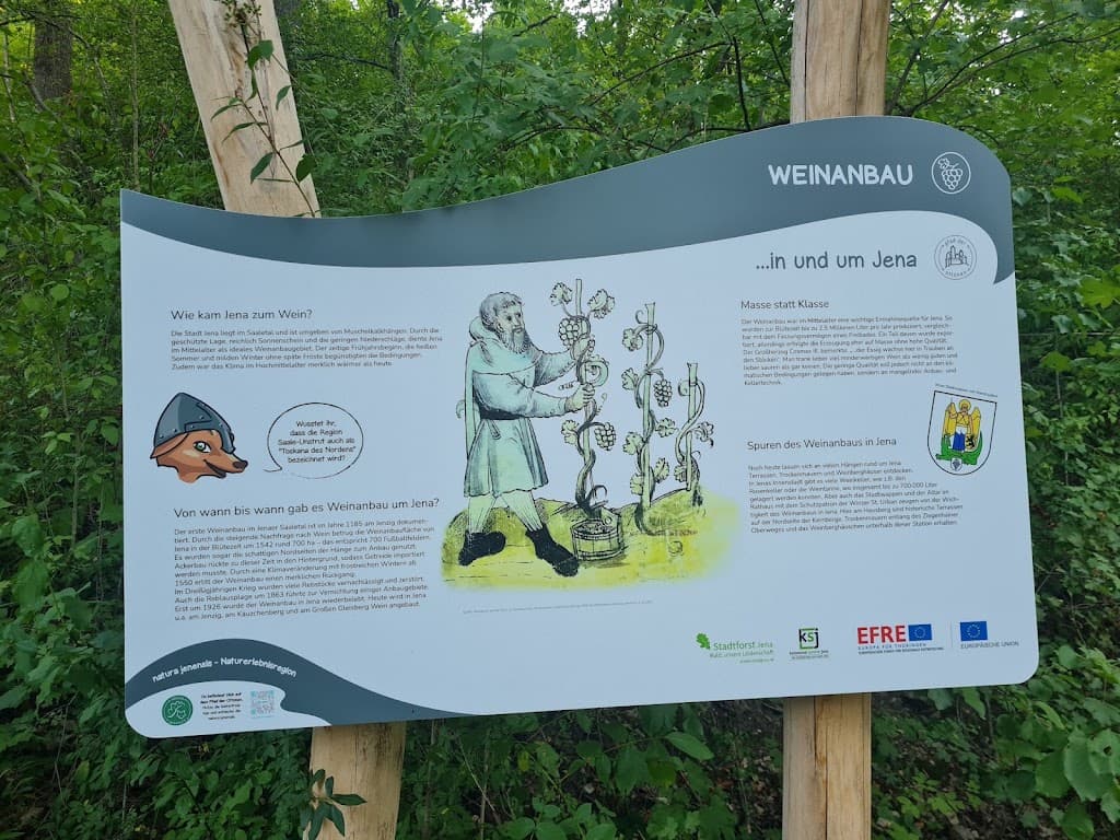 WaldPfad „Schlauer UX“
