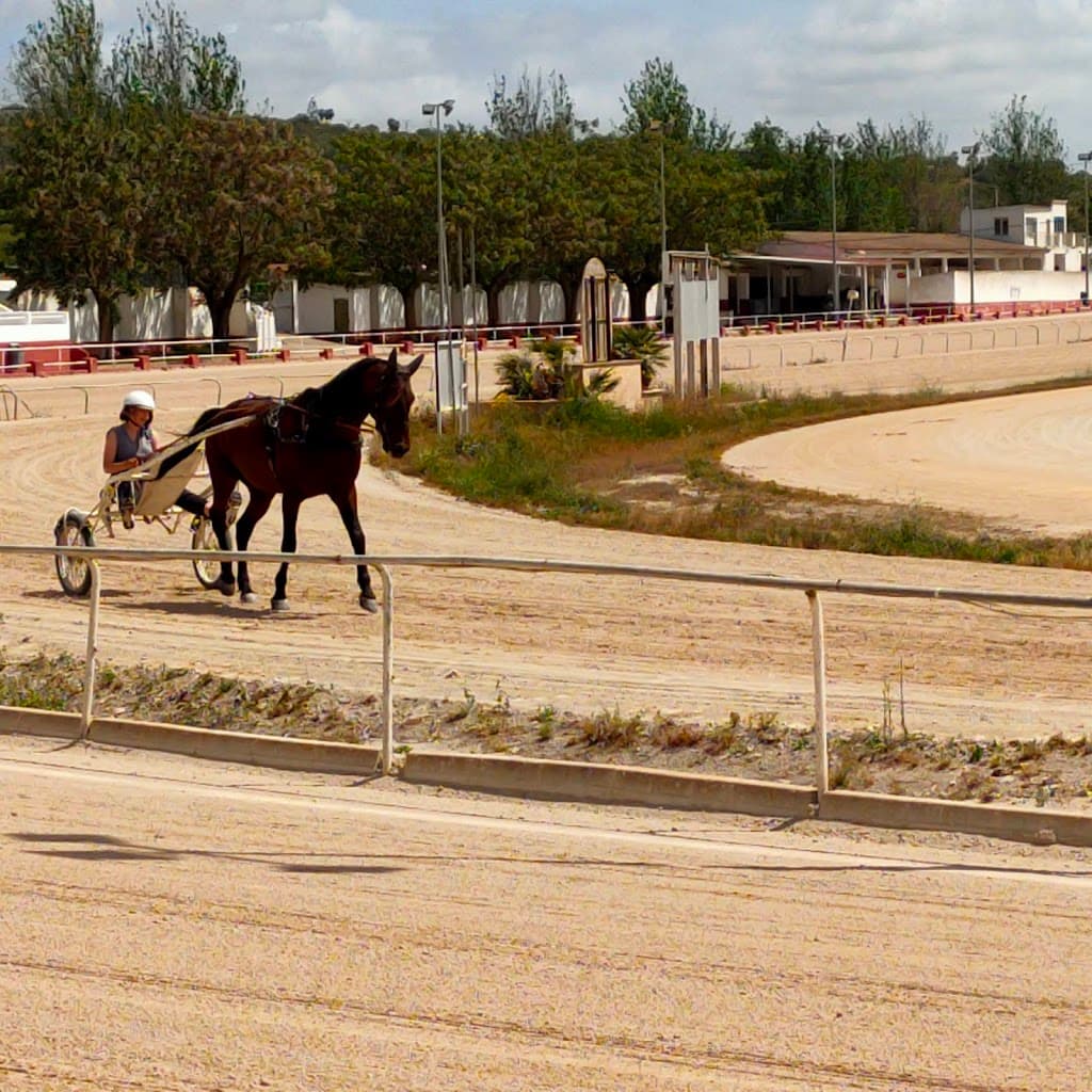 Hipódromo de Manacor