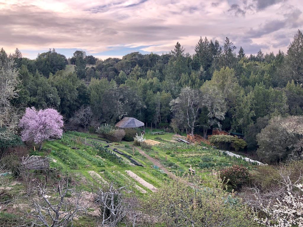 Occidental Arts & Ecology Center