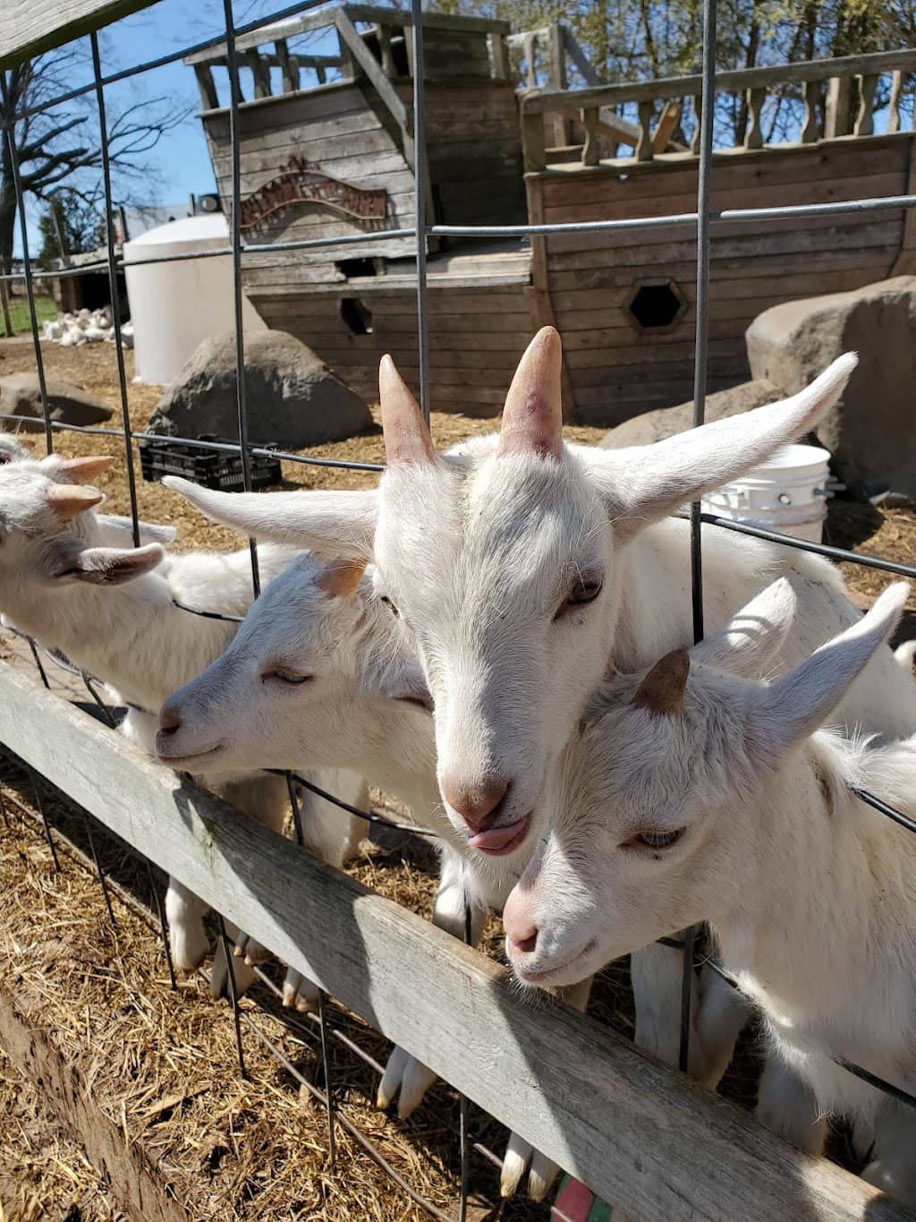 Goodale Farms