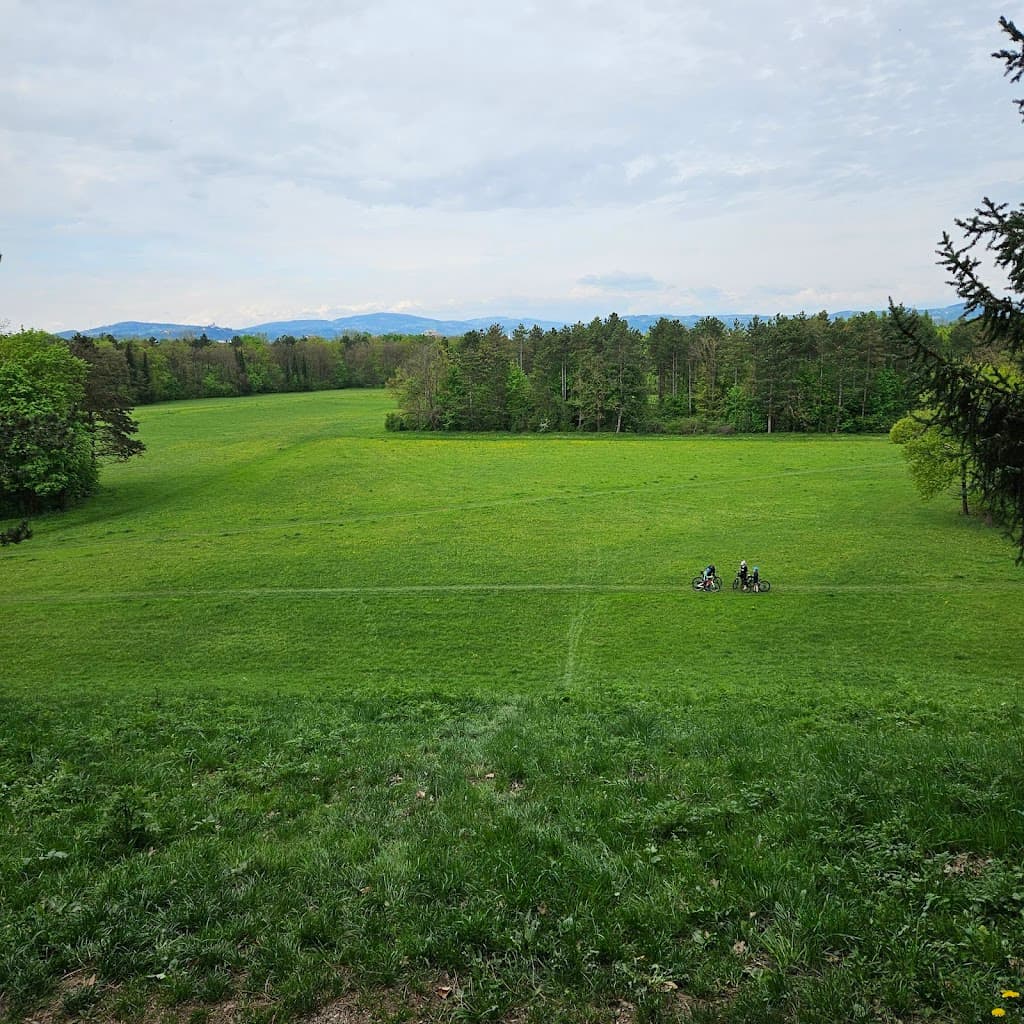 Wasserwald