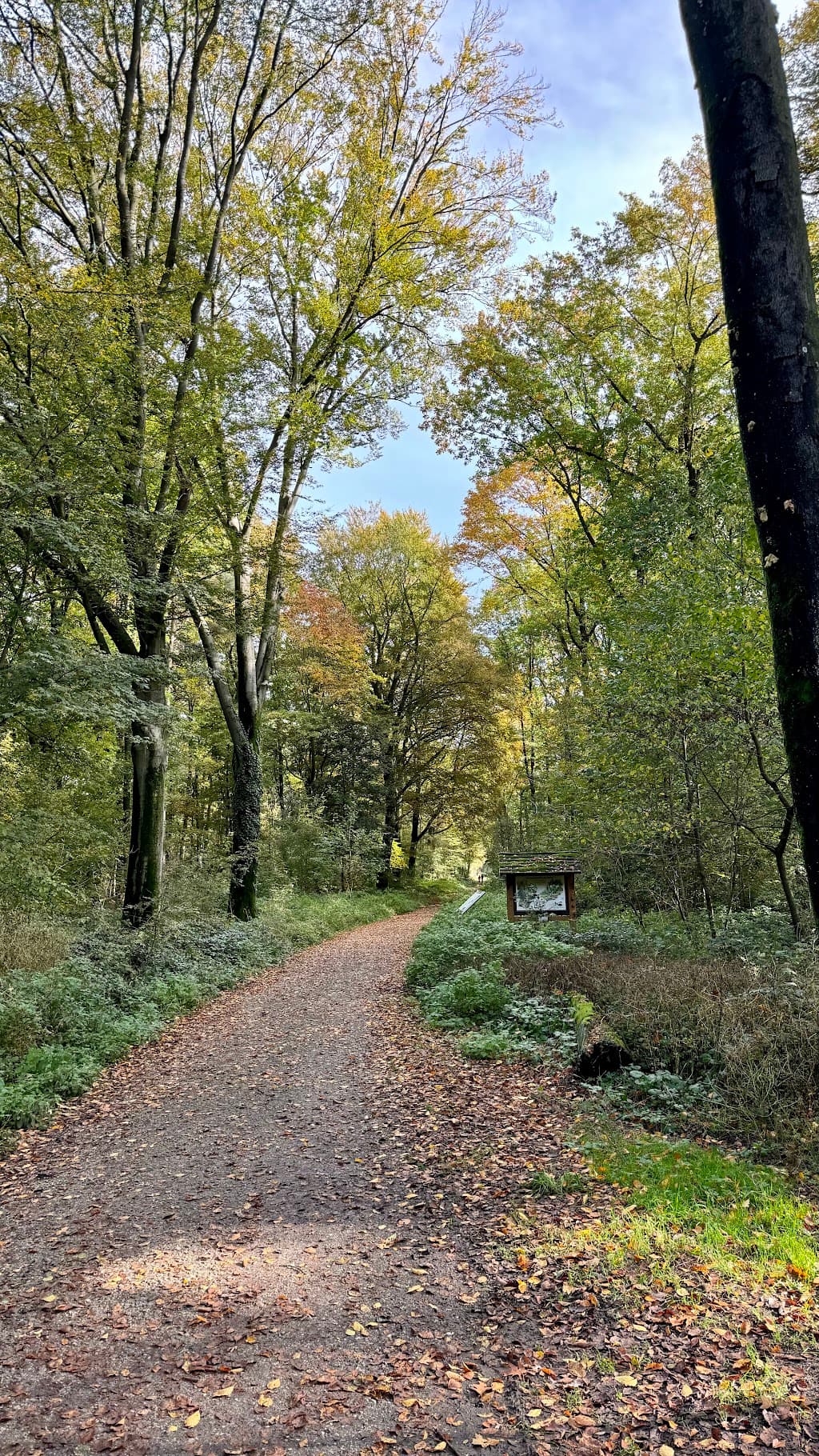 Grenzlandring (ehemalige Rennstrecke)