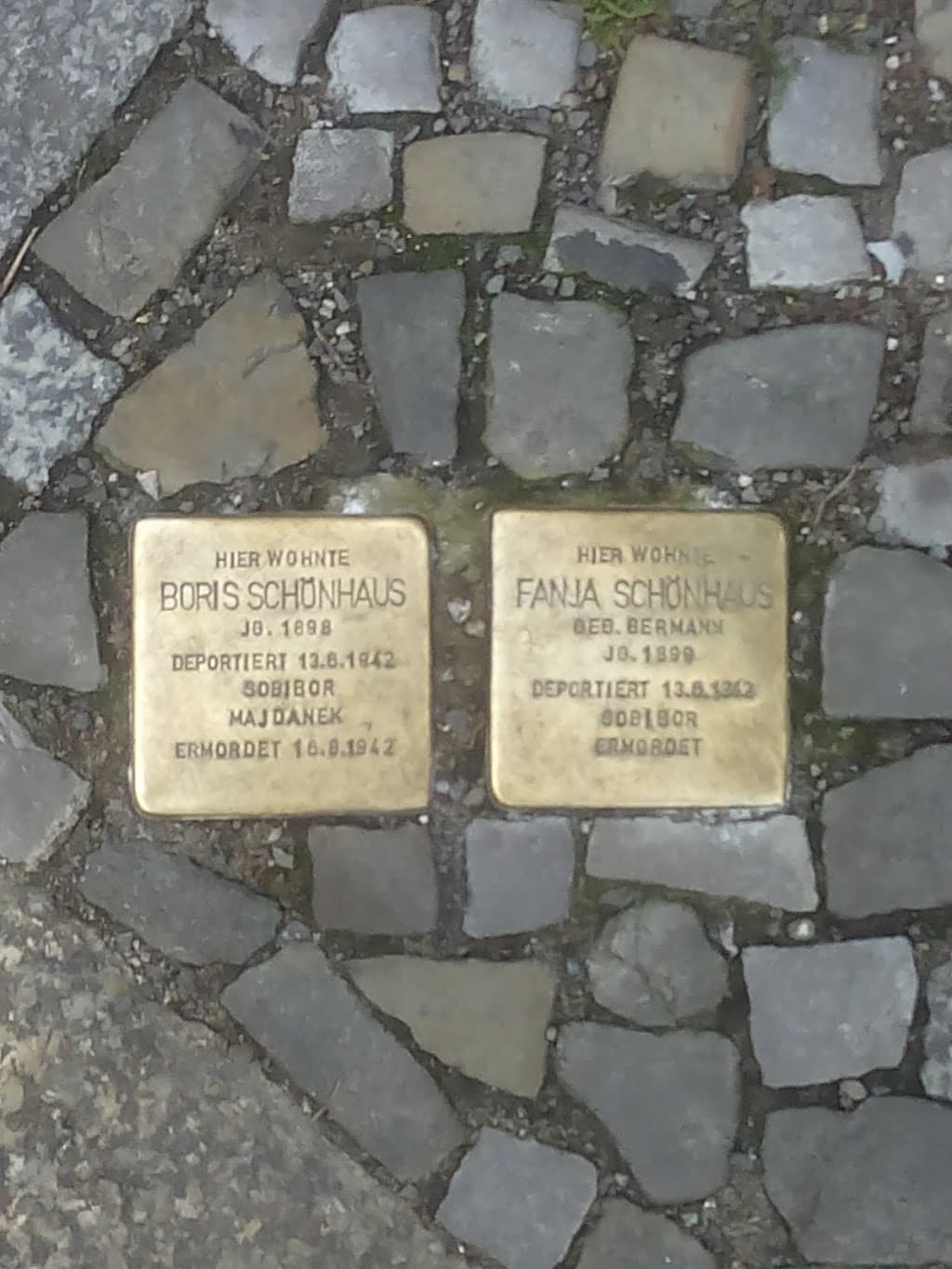Stolpersteine für Albert Levy, Franziska Schuhmacher, Georg Levy