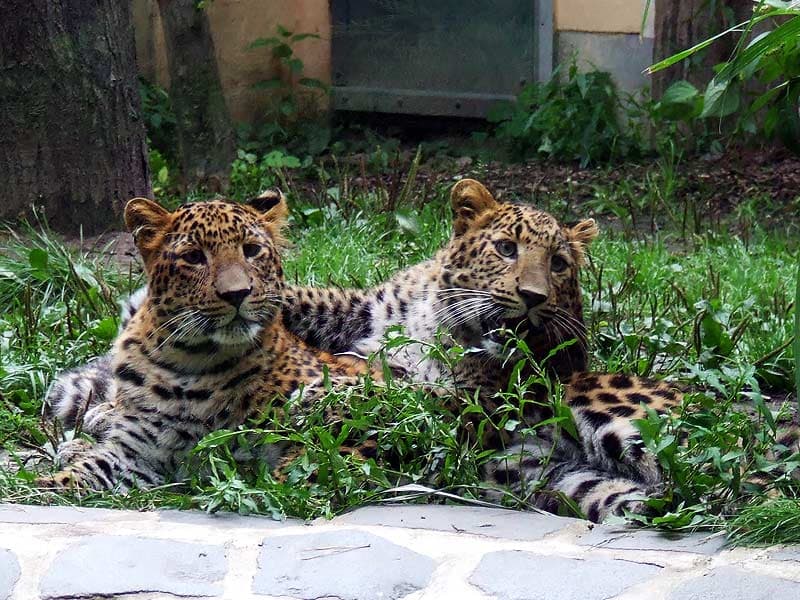 Tierpark Cottbus