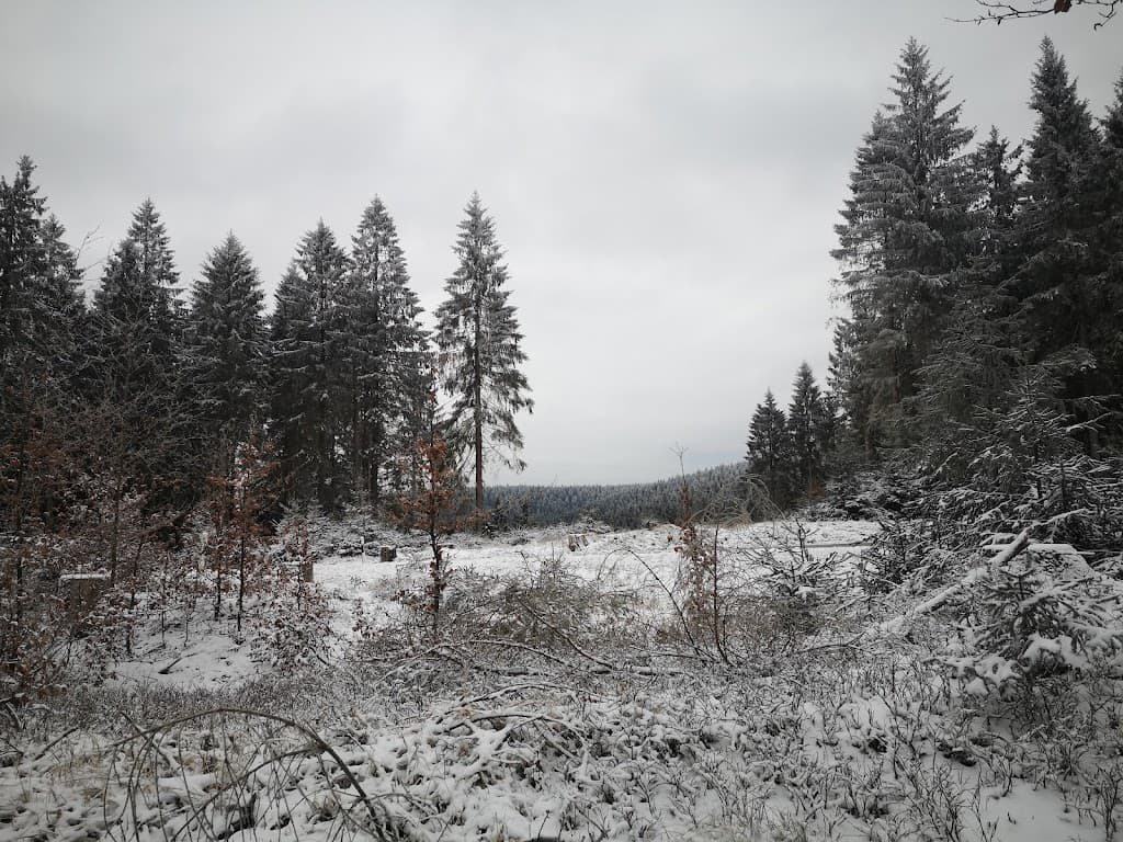Großer Dreiherrenstein