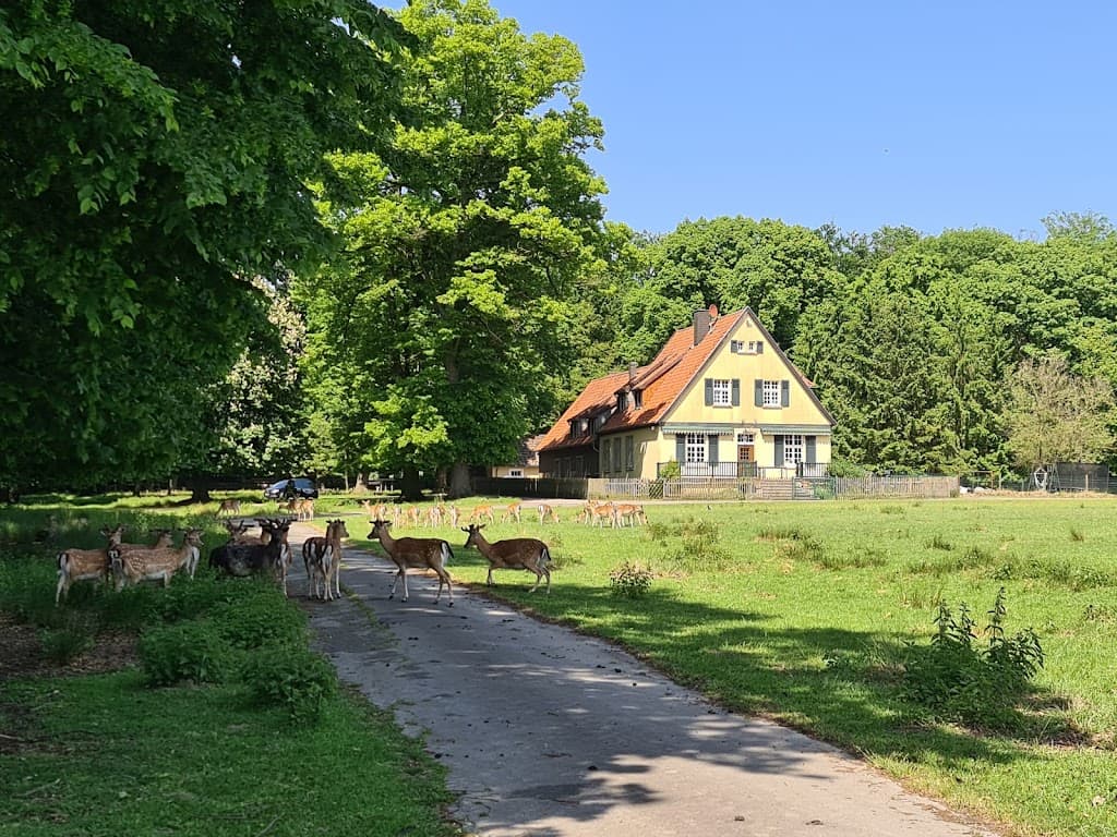 Wildpark Dülmen