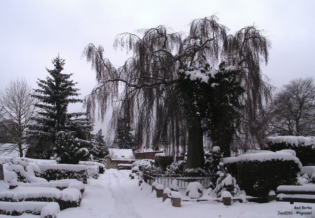 Historischer Friedhof Bad Berka